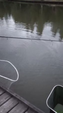 КРХ ТРИФОН