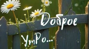 Лучшие пожелания на утро: начинаем день с улыбки #доброеутроспожеланиями #хорошегоутра