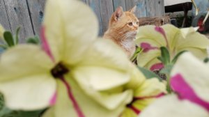 3.06.25 Мой выходной.