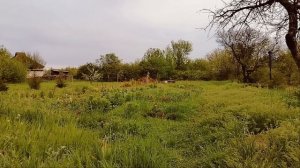 ДАРЬЯ — Последняя ведьма | Мистическая история о силе,