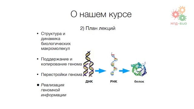 Введение. О курсе
