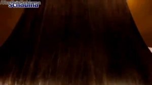 Реклама Шаума с маслом арганы