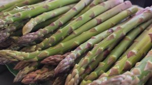 Самарская спаржа. Агрокурьер