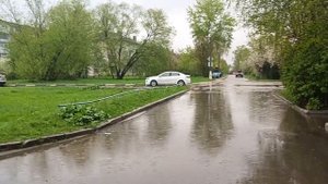 7 часть весна реал