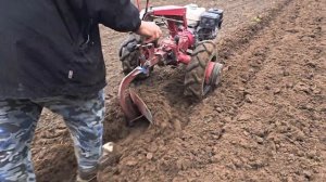 Наш трудяга - мотоблок Белорус 09Н. Работа плугом.