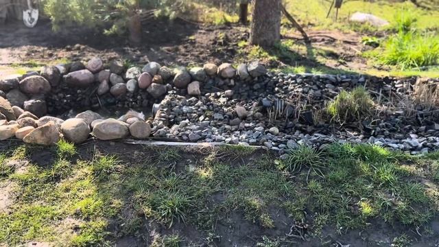 Обзор на содержание Карпов Кои в моем пруду. Подготовк смотреть онлайн