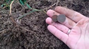 Коп монет по старой дороге 2025#х-терра про