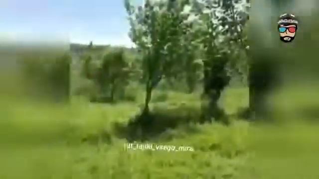 Бародаро тамошо кнен падписатся кнен дар канал смотреть онлайн