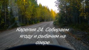 Карелия 2024! Собираем клюкву. Едем на дальнее озеро! Ловим окуня.
