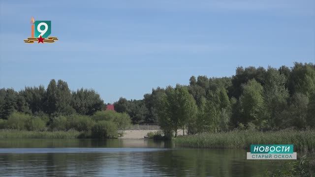 В рыбе из Старооскольского водохранилища обнаружены опасные паразиты