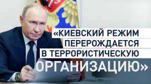 «Кто вообще ведёт переговоры с террористами?»: Путин о возможности встречи на высшем уровне
