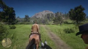 Играю в Red Dead Redemption 2 на  Ps4 slim