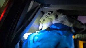 Освещение багажника Ford Focus 2 диодными лампами