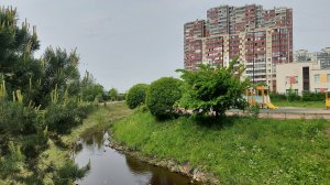 Кудрово Венская 4к3