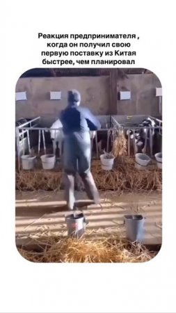 😂😂😂