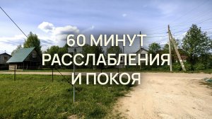 60 минут расслабления и покоя / Красивая природа и теплое солнце / Асмр эмбиент asmr ambient