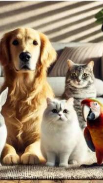 Domestic animals