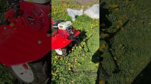 Мотокультиватор бензиновый DDE V700 II H160W