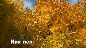 Доброе Утро 💖 Пожелания Доброго Утра💕 с Добрым Утро?