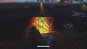 Фарм В Черном Лесу Stalker Online (Stay Out)