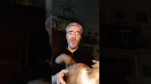 Реальная суть СВО