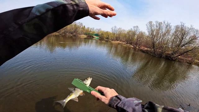 Мормышинг на Nissin Ares Liberate Li510S TZ смотреть онлайн