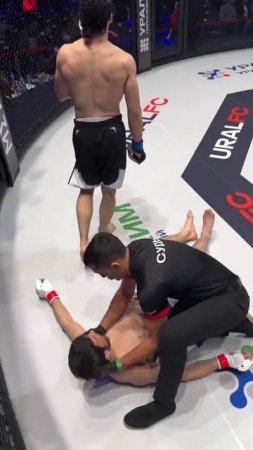 Лучшие нокауты Подпишись и ставь лайк #ufc #mma #youtube #sports #tiktok #shortsvideo #russia #box