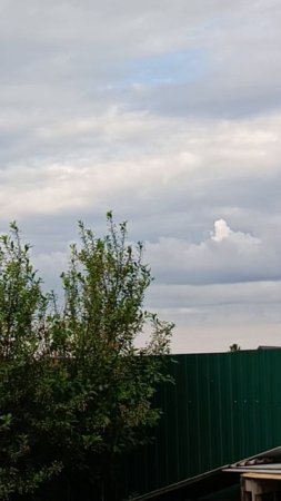 жизнь в деревне.