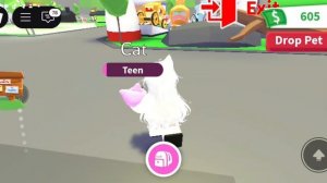 ухаживаю за животным в adopt me