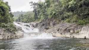 Совместимость женщина-Дева и мужчина-Лев