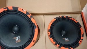 Обзор динамиков Dl audio "Gryphon Pro 165 Neo"