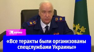 Бастрыкин доложил Путину о терактах в Брянской и Курской областях