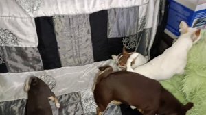 Всем самого доброго утречка и прекрасного начала дня.
