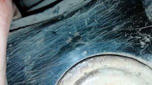 Шаровая опора Хонда Аккорд 7. Передняя верхняя.