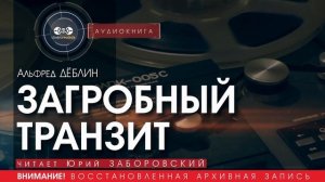 ЗАГРОБНЫЙ ТРАНЗИТ - Альфред Дёблин (читает Николай КОЗИЙ) | аудиокниги слушать бесплатно онлайн