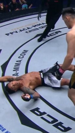 Лучшие нокауты Подпишись и ставь лайк #ufc #mma #youtube #sports #tiktok #shortsvideo #russia #box