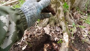 Я Искал Древности в Лесу с Интроником и Нашел Удивител