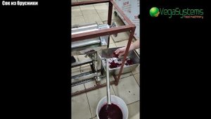 Соковыжималка Vega J 500 выжимка сока из овощей и фруктов