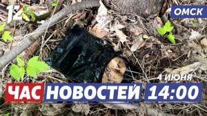 Задержание наркокурьера / «Школа безопасности» / Торт для бегемота. Новости Омска