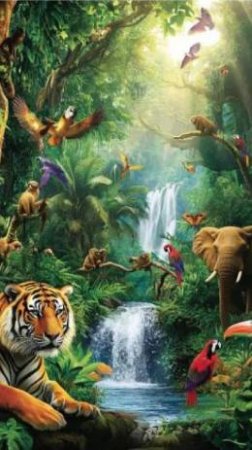 Jungle animals