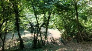 Геленджик снт Садовод участок 7 соток