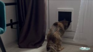 Утеплённая дверца для кошек - "Уличный Котоход"