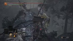 DARK SOULS™ III фарм меч-трава волчьей крови