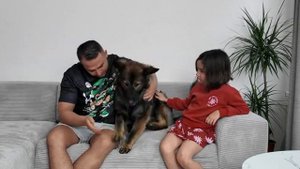 Немецкая овчарка защищает ребёнка от нападения мужчины (постановка) - 2025 год (uu)
