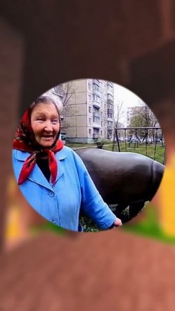 БАБУШКА ЗАВЕЛА СЕБЕ БЕГЕМОТА _ ЧАСТЬ 1 #мем #юмор #прикол