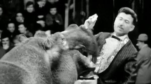 1969 год. Тюмень. Цирковое представление