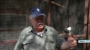 Новости Алтайского края 5 июня 2025 года, выпуск в 6:35