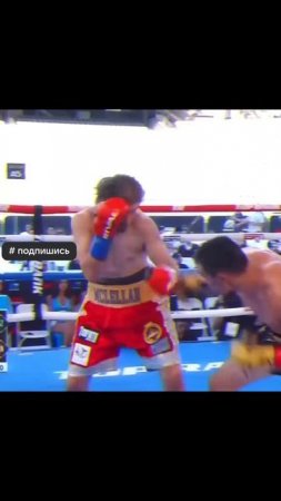 Лучшие нокауты Подпишись и ставь лайк #ufc #mma #youtube #sports #tiktok #shortsvideo #russia #box