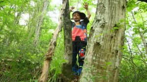 Прокатились