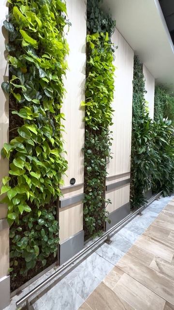 Вот так можно создать из бетона мини-сад из живых раст? смотреть онлайн